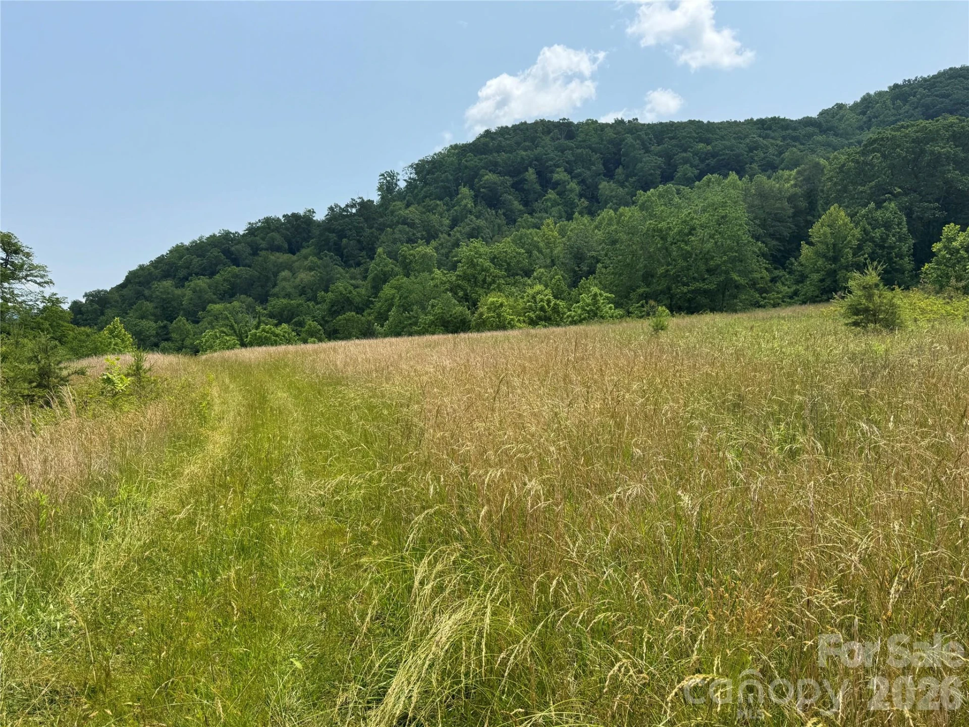 187 Hodges Creek Road - Photo 9