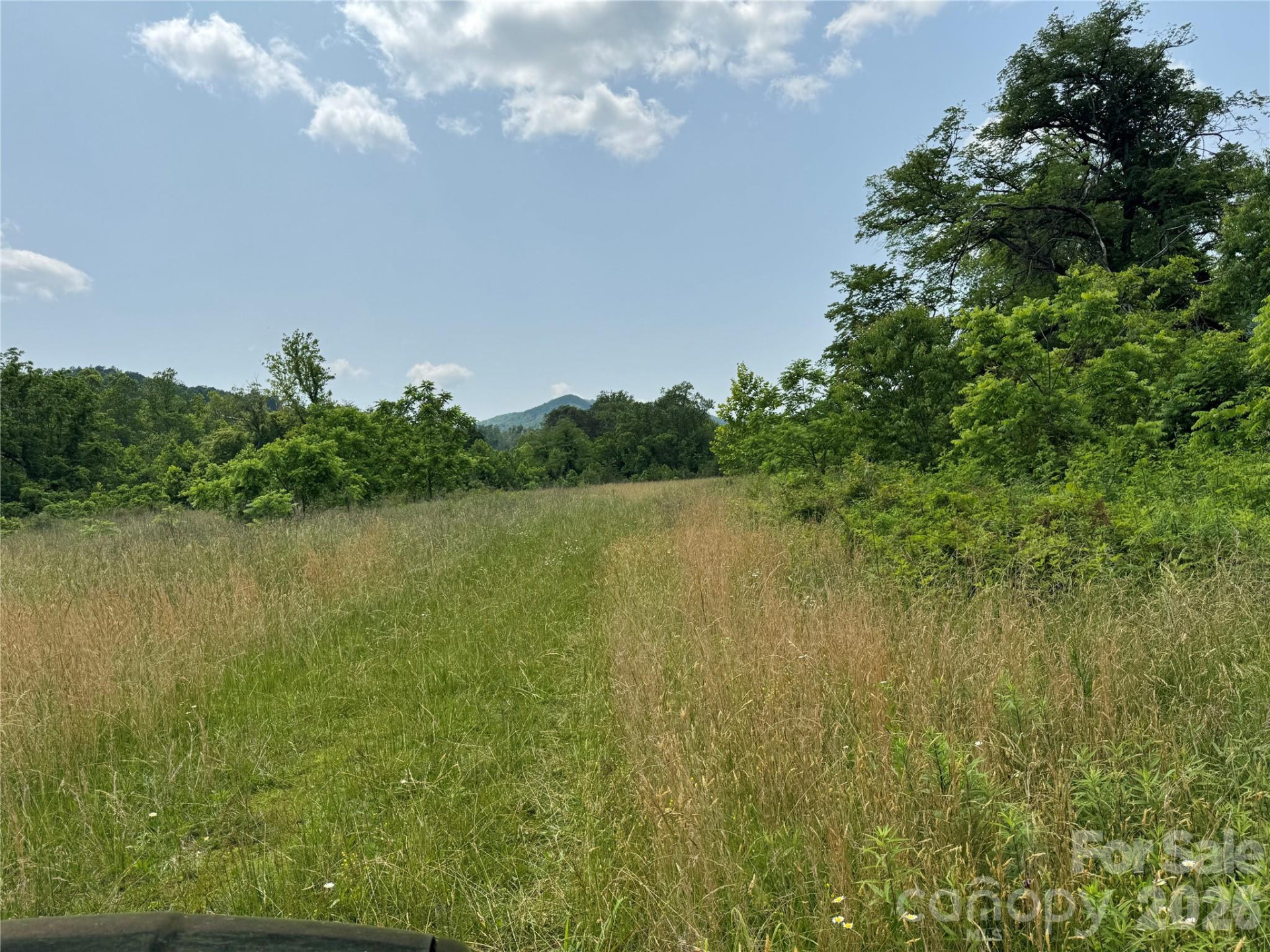 187 Hodges Creek Road - Photo 10