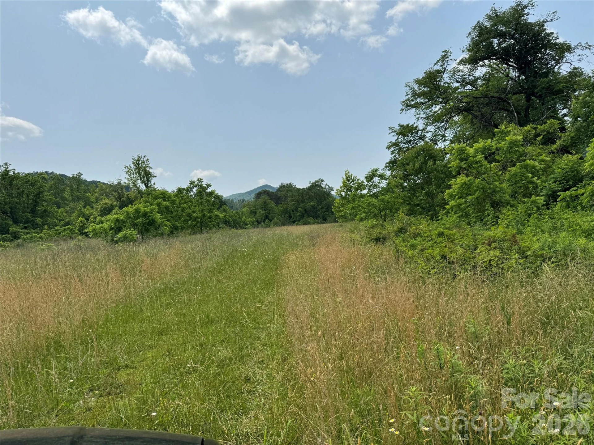 187 Hodges Creek Road - Photo 10