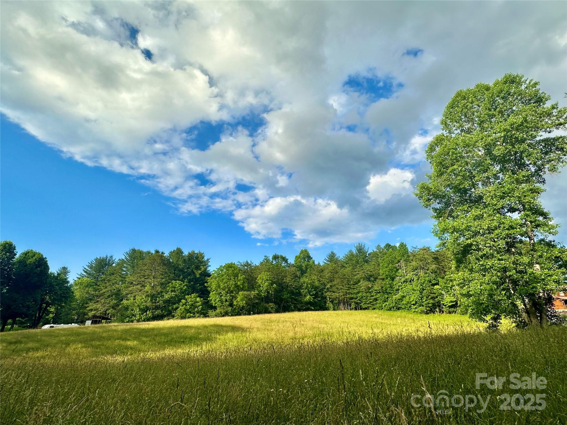 99999 Jenkins Valley Road - Photo 2