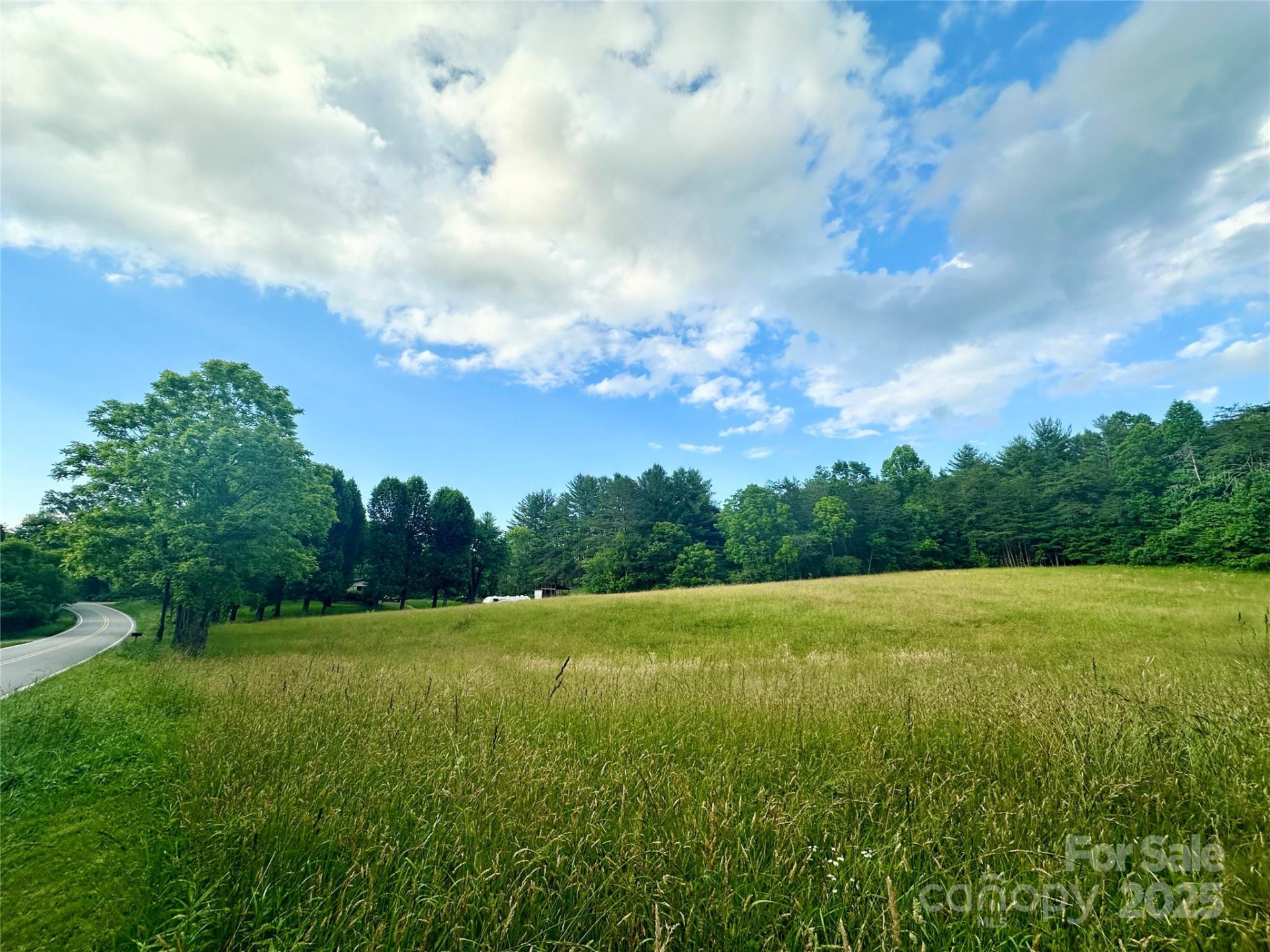 99999 Jenkins Valley Road - Photo 3