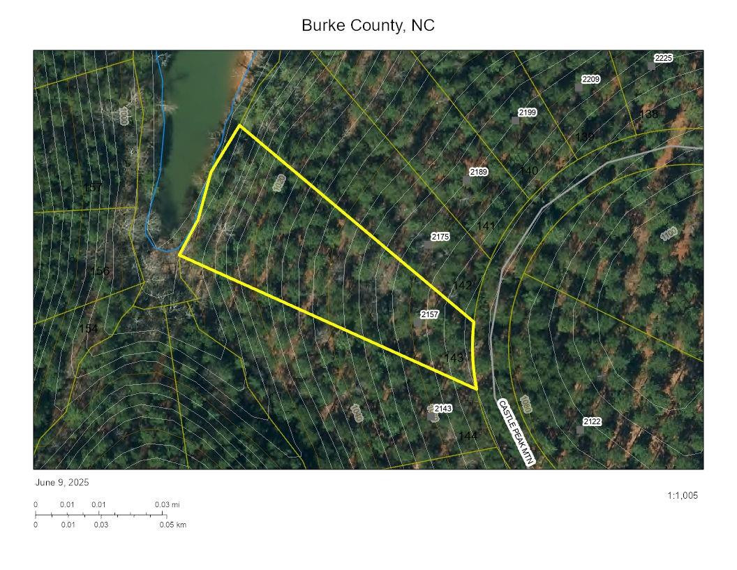 2157 Castle Peak Mountain None #143 - Photo 2