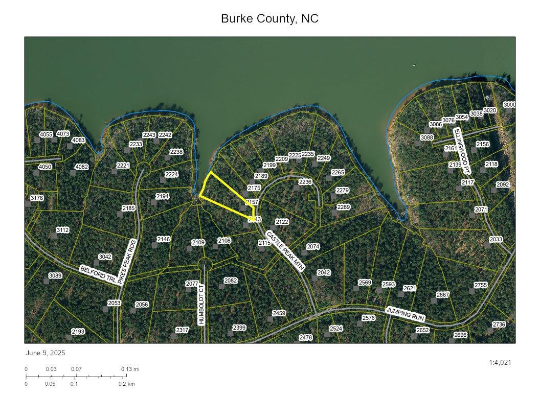 2157 Castle Peak Mountain None #143 - Photo 3