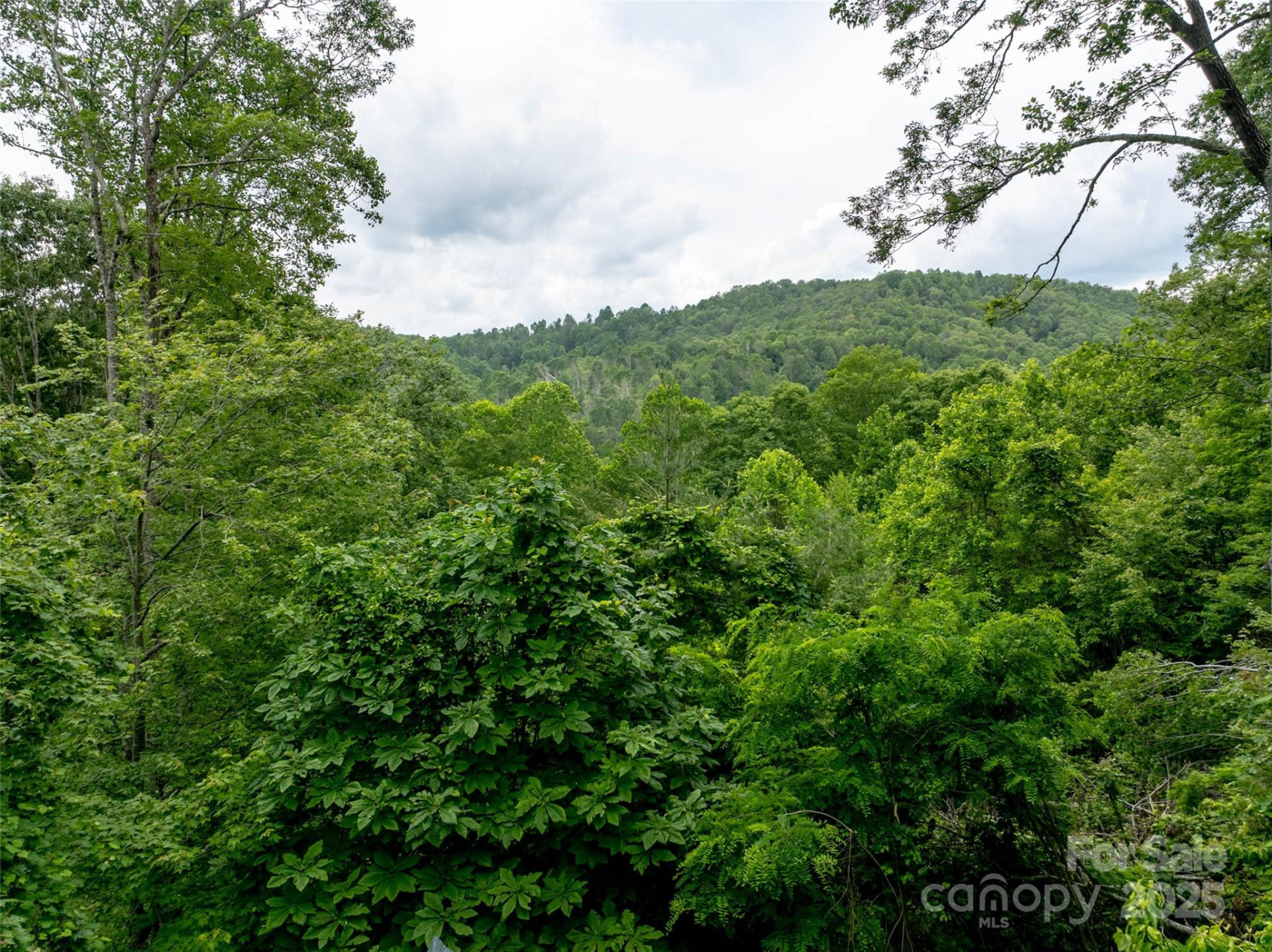 218 McGuffey Ridge Ridge - Photo 5