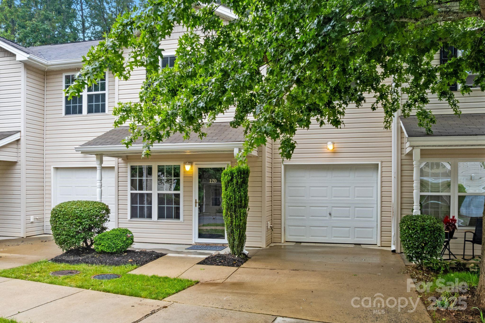 120 Alpine Ridge Drive - Photo 3