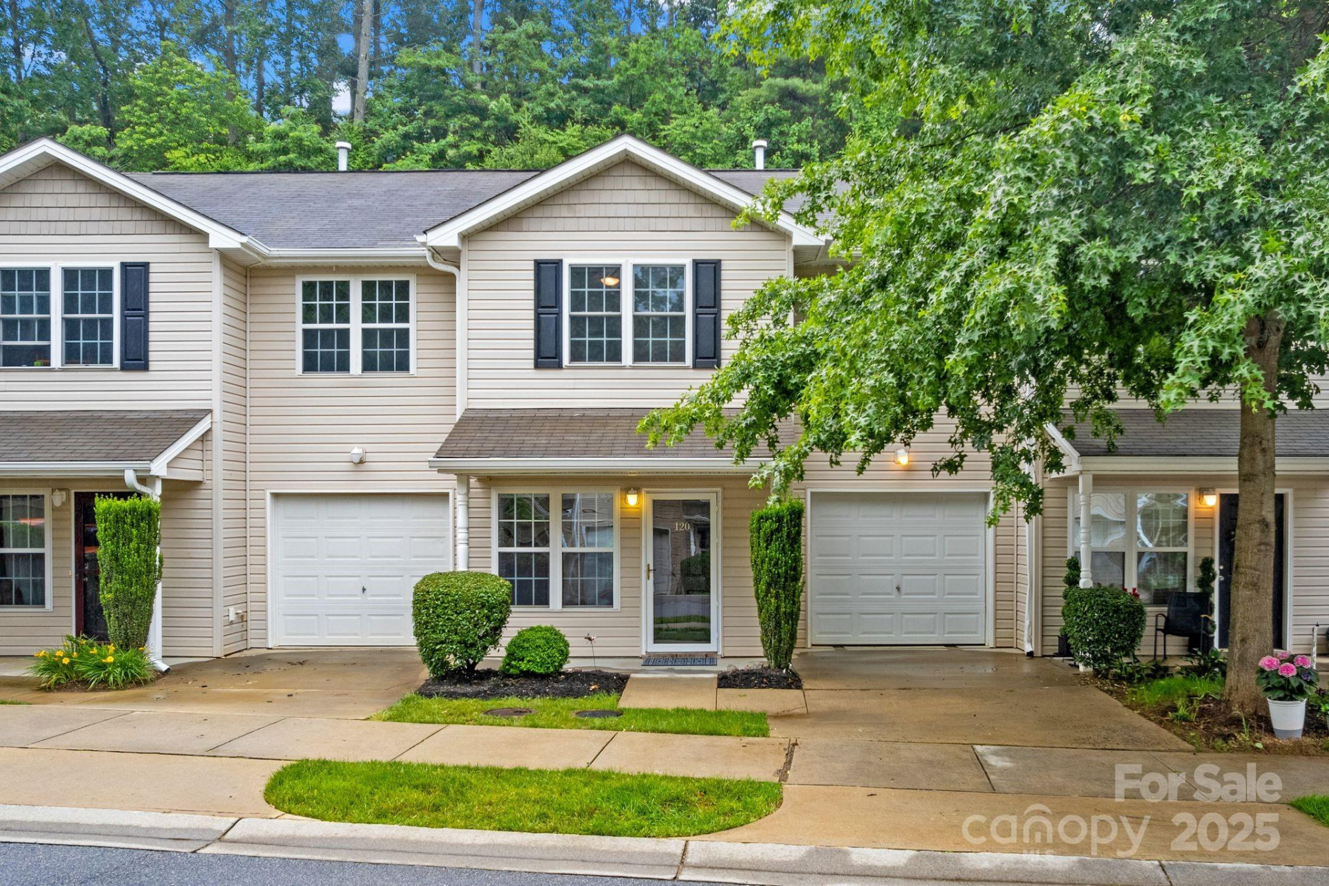 120 Alpine Ridge Drive - Photo 4