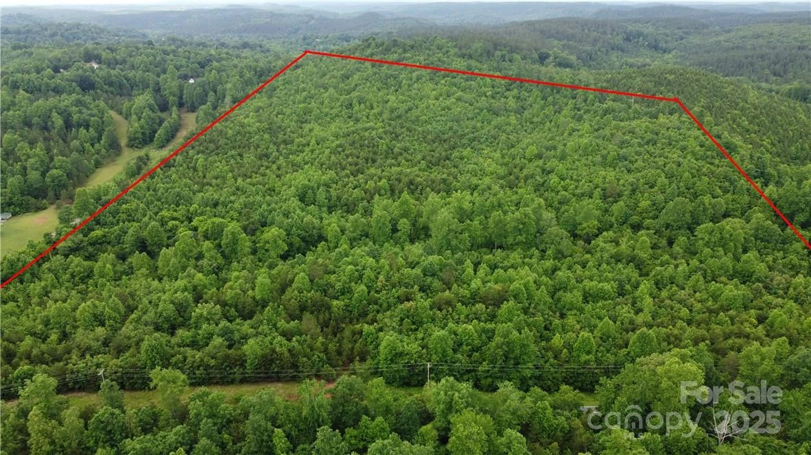 0 Maple Creek Road #1 - Photo 2