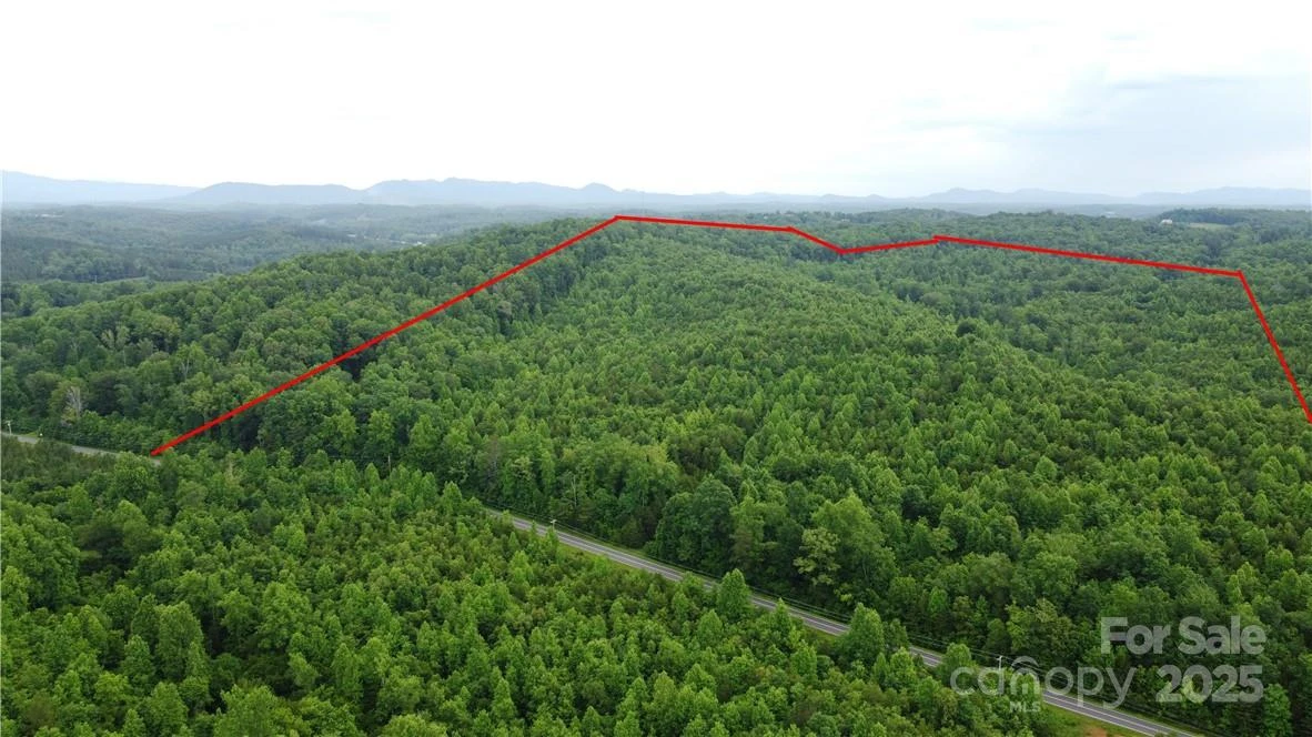 0 Maple Creek Road #1 - Photo 3