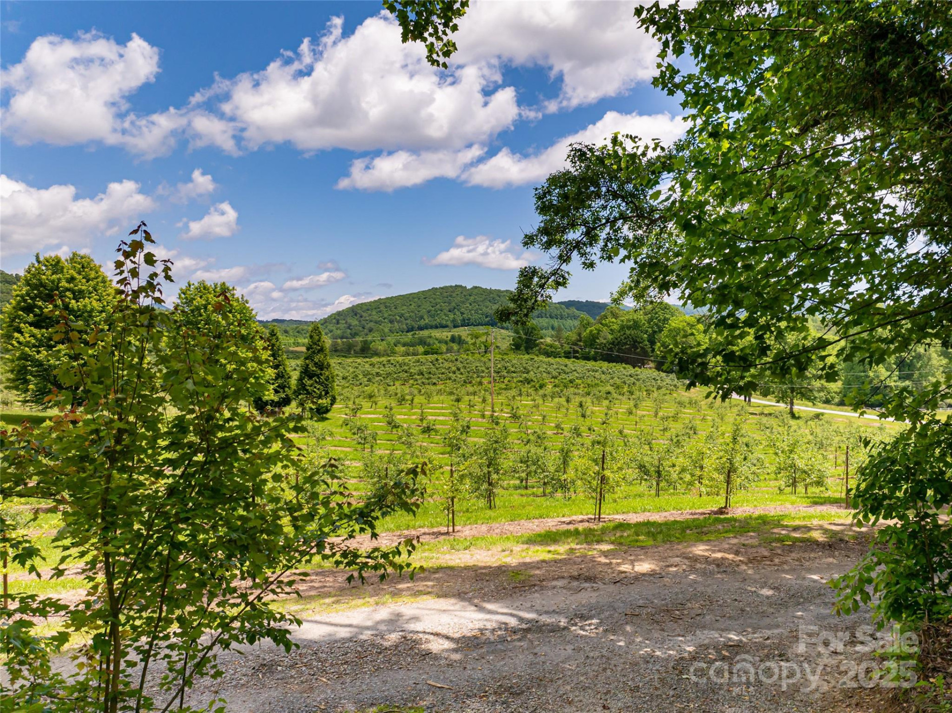 103 Blue Sky Lane - Photo 46