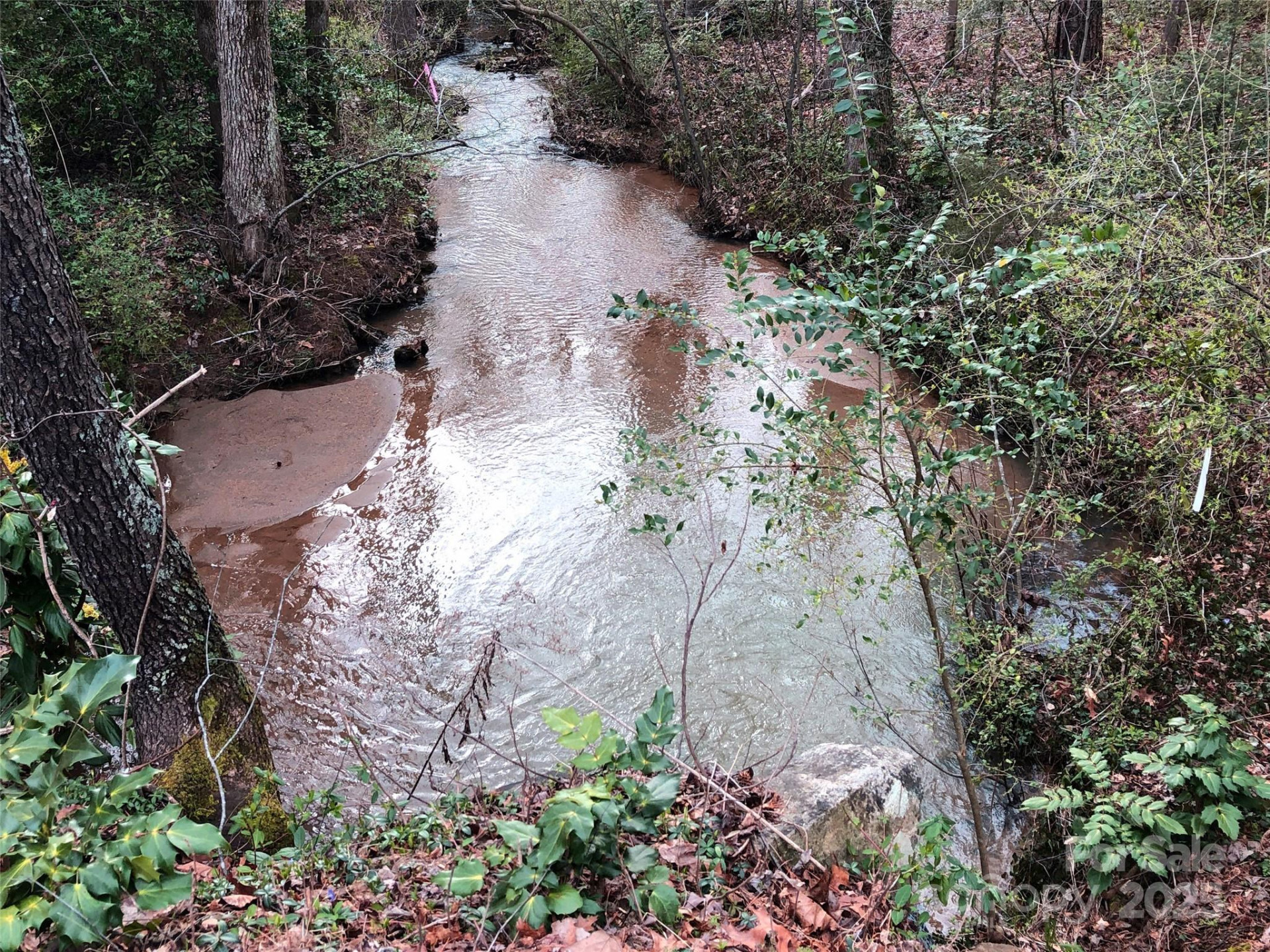 91 Ford Ridge Lane - Photo 11