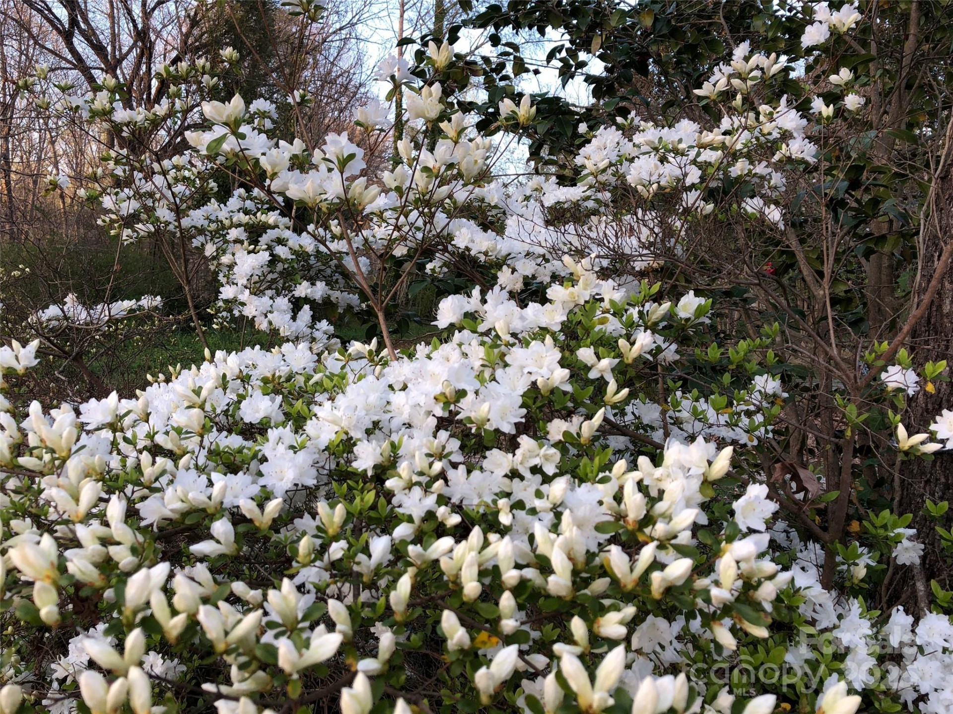 91 Ford Ridge Lane - Photo 12