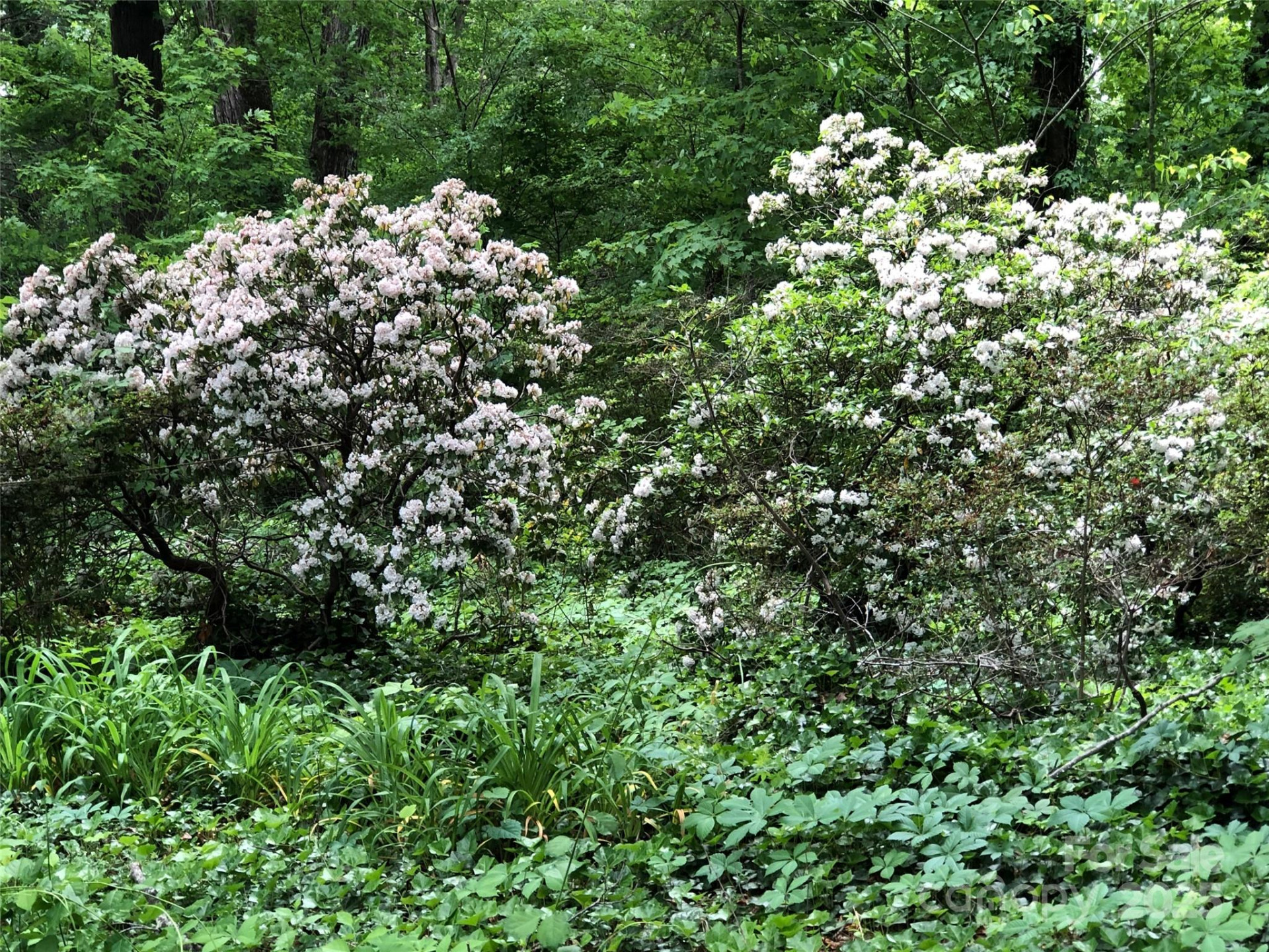 91 Ford Ridge Lane - Photo 13