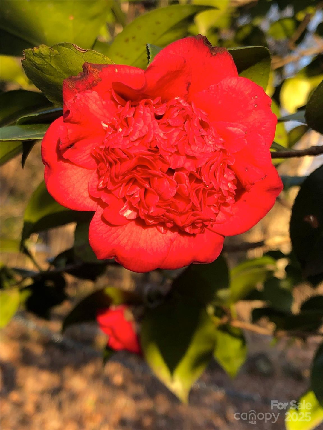 91 Ford Ridge Lane - Photo 14