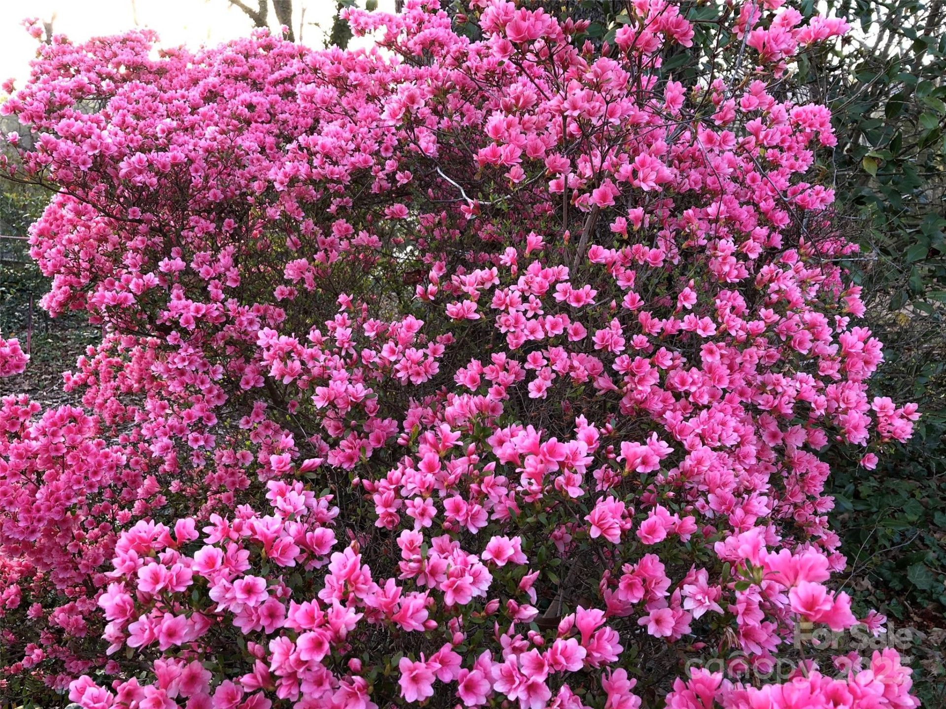 91 Ford Ridge Lane - Photo 15