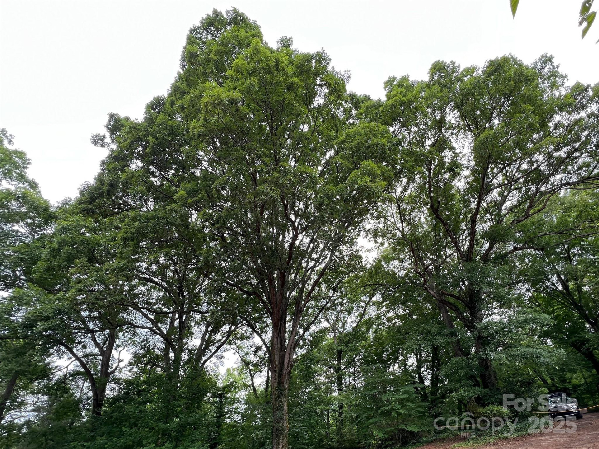 91 Ford Ridge Lane - Photo 16