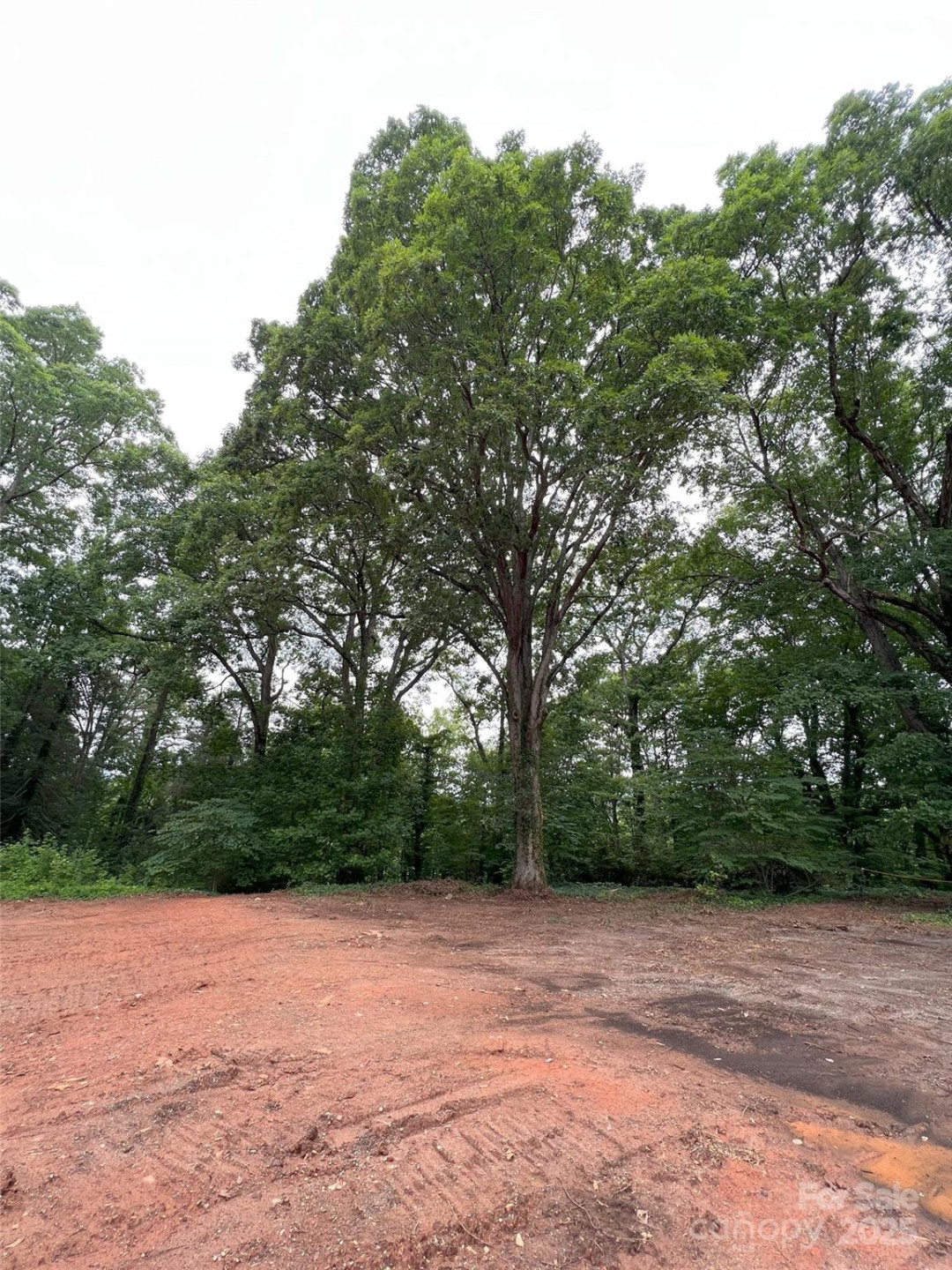 91 Ford Ridge Lane - Photo 7