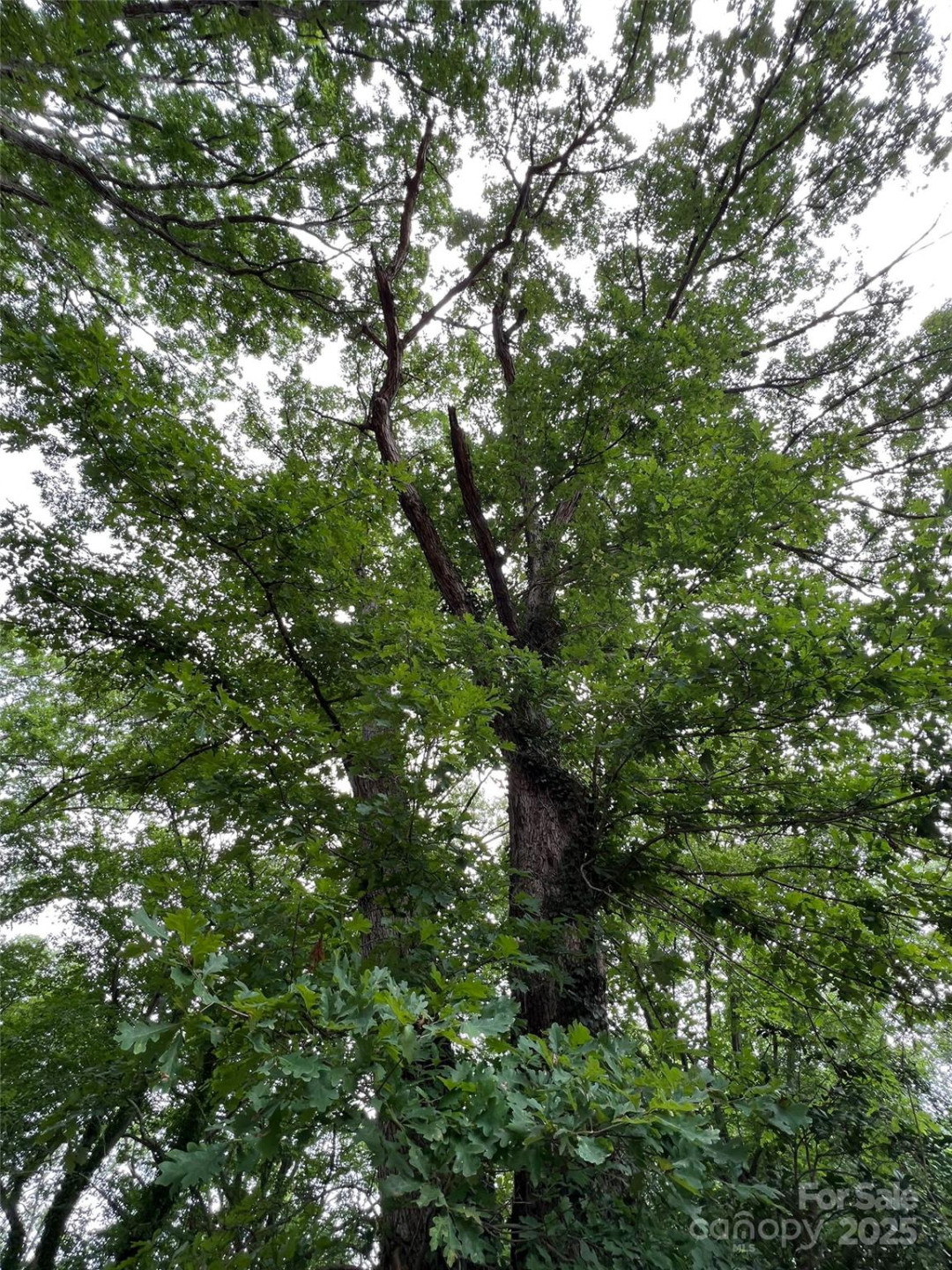 91 Ford Ridge Lane - Photo 8