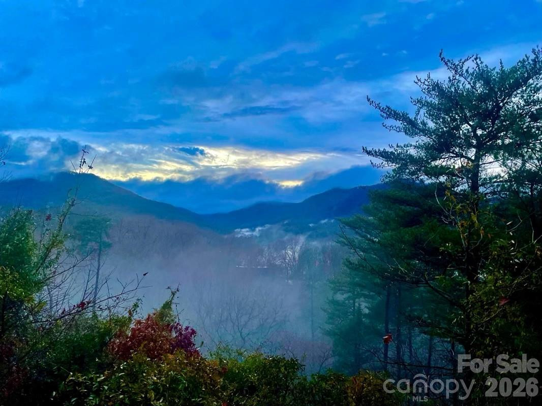 287 Pacolet Ridge Lane - Photo 5