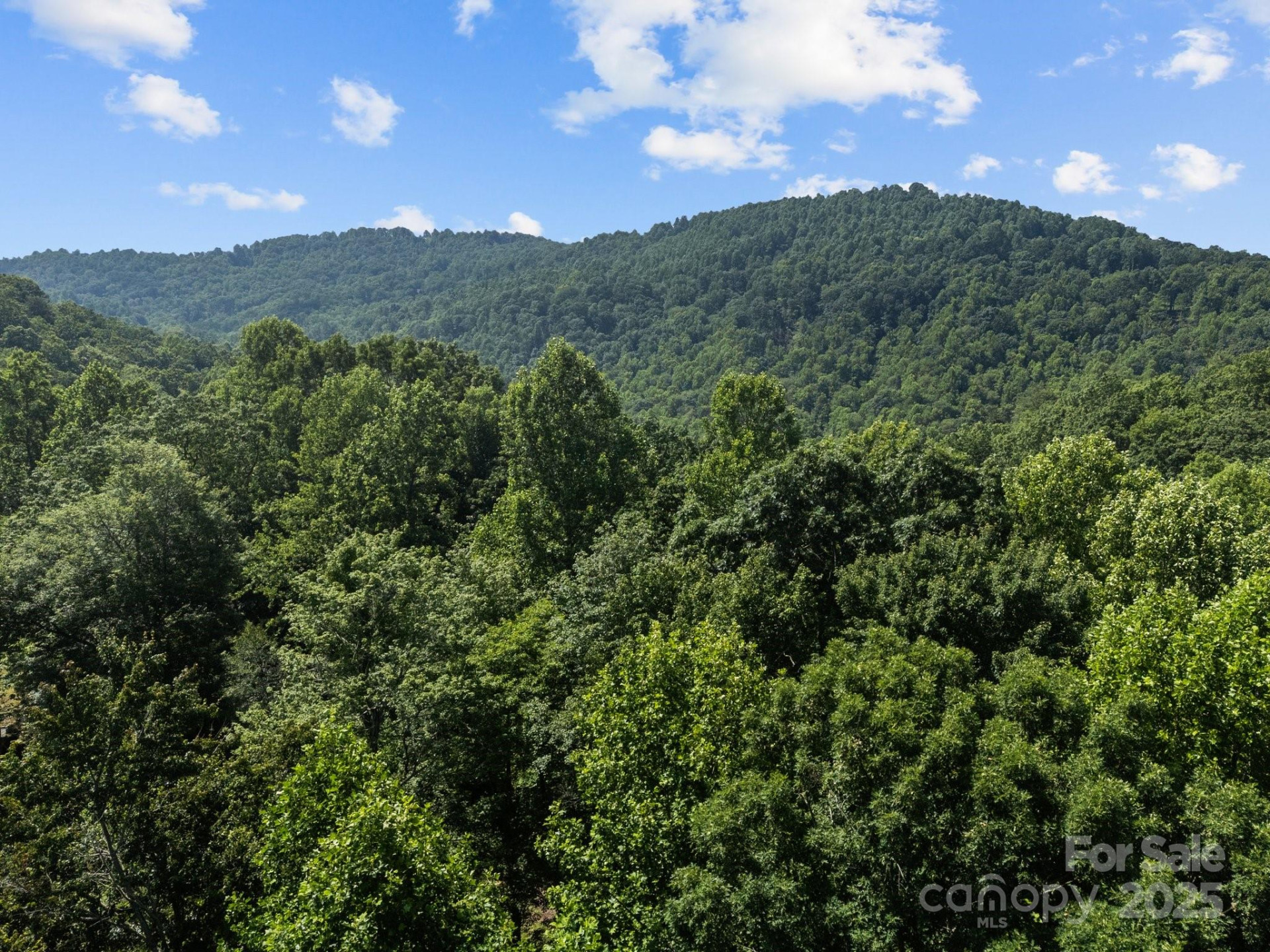 1063 Somersby Parkway #3 - Photo 11