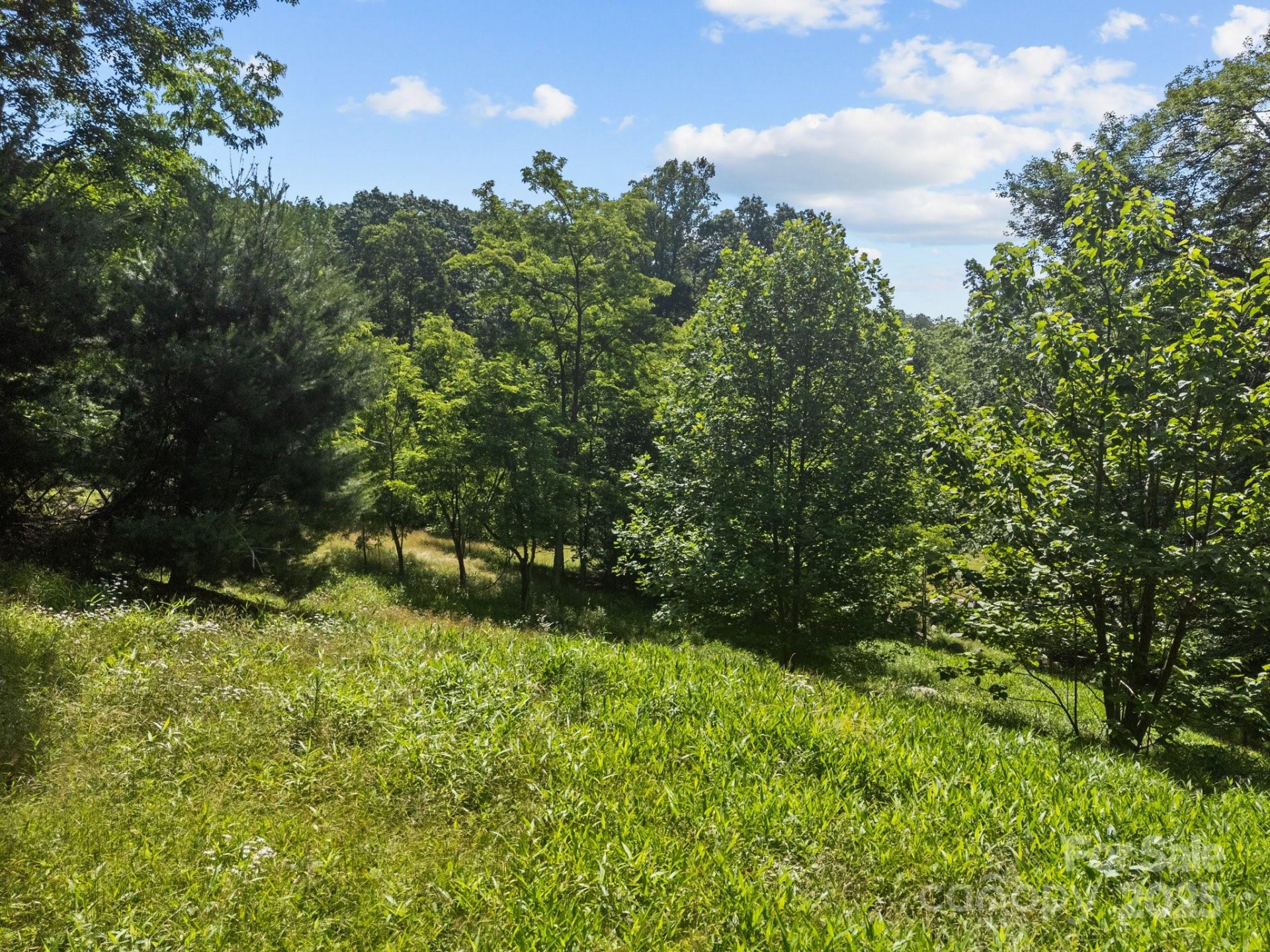 1063 Somersby Parkway #3 - Photo 8