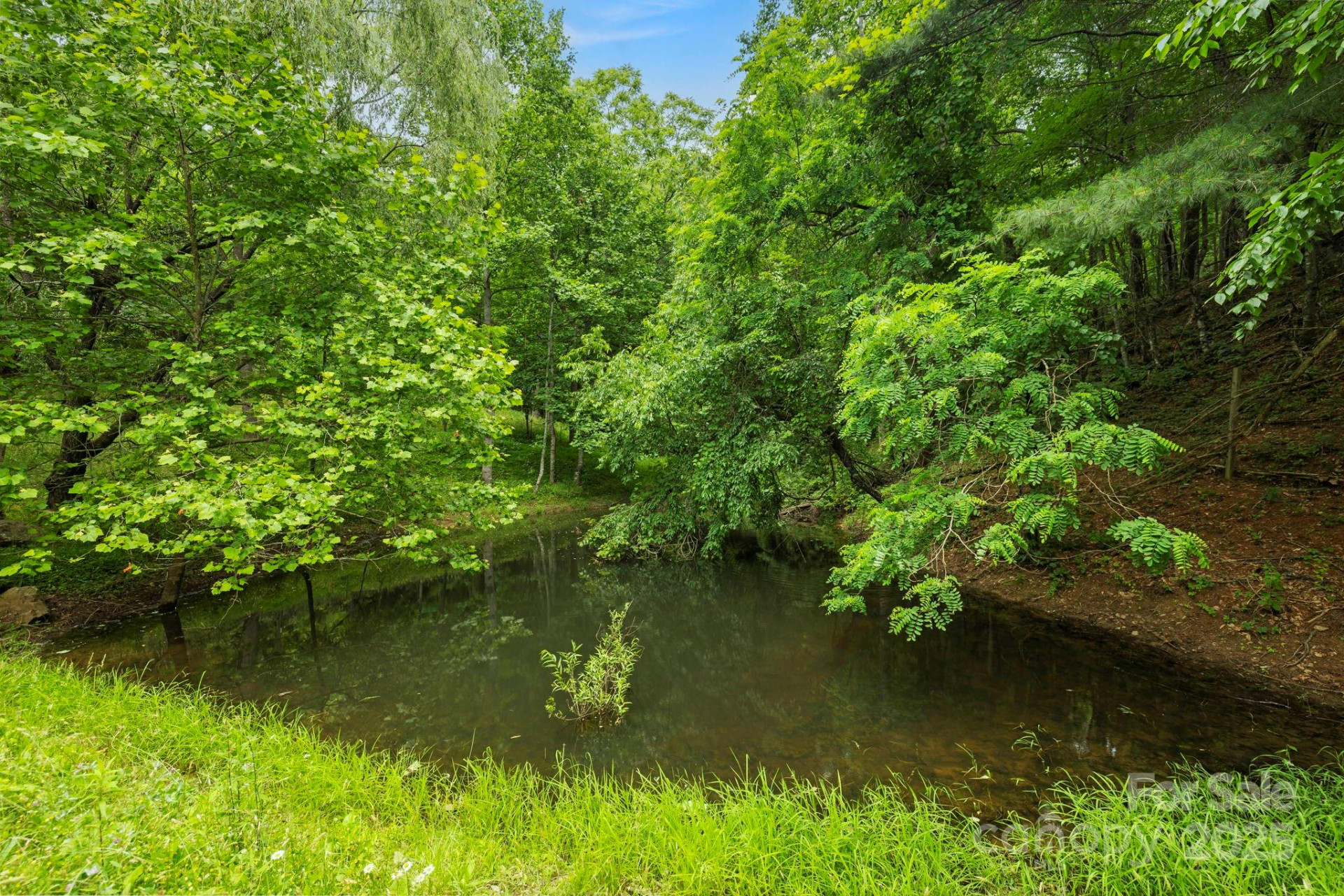 51 HOMEFIRE COVE Cove - Photo 32