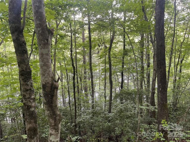 2642 Canada Road, Tuckasegee, NC, 28783