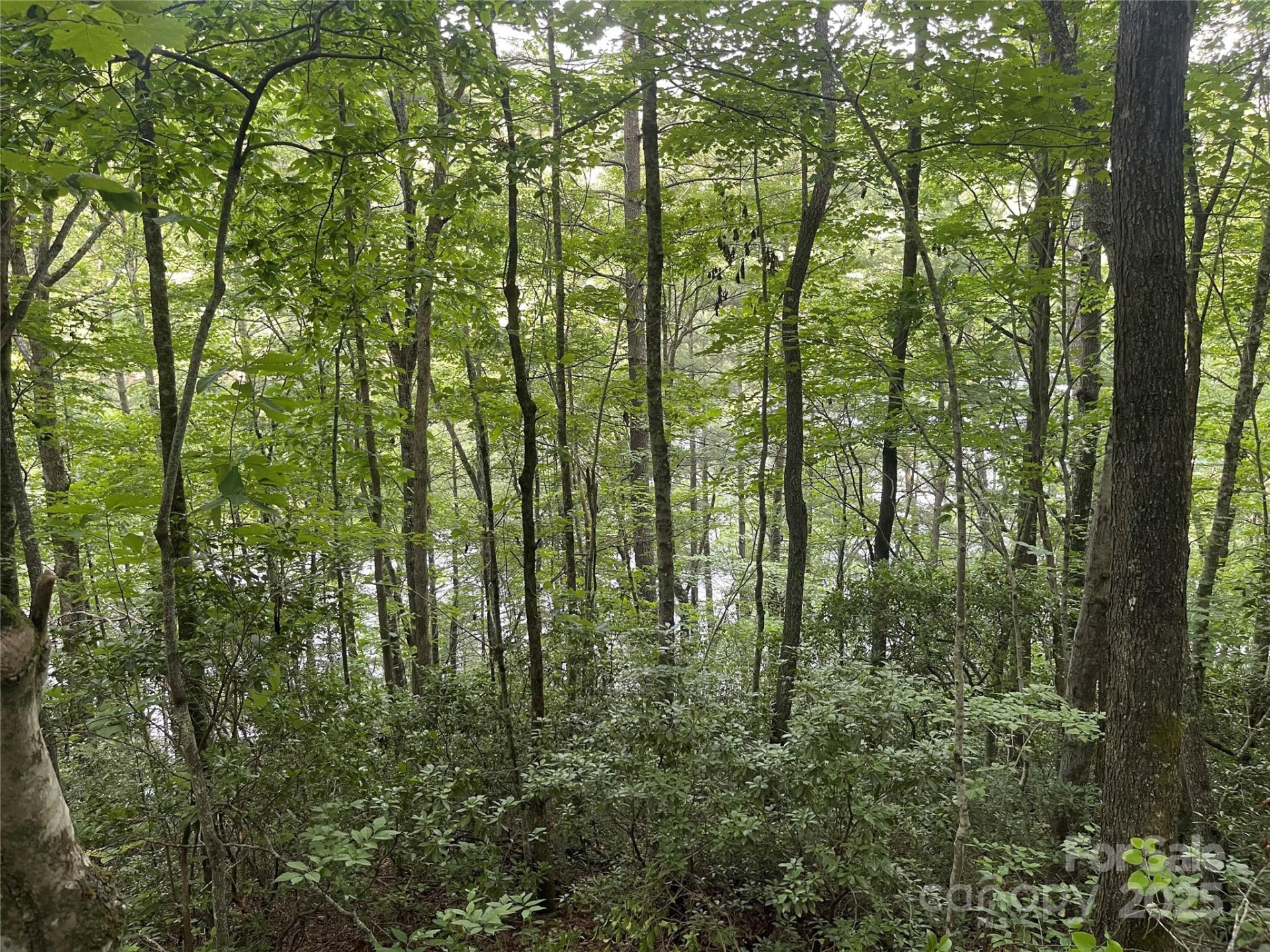 2642 Canada Road - Photo 6