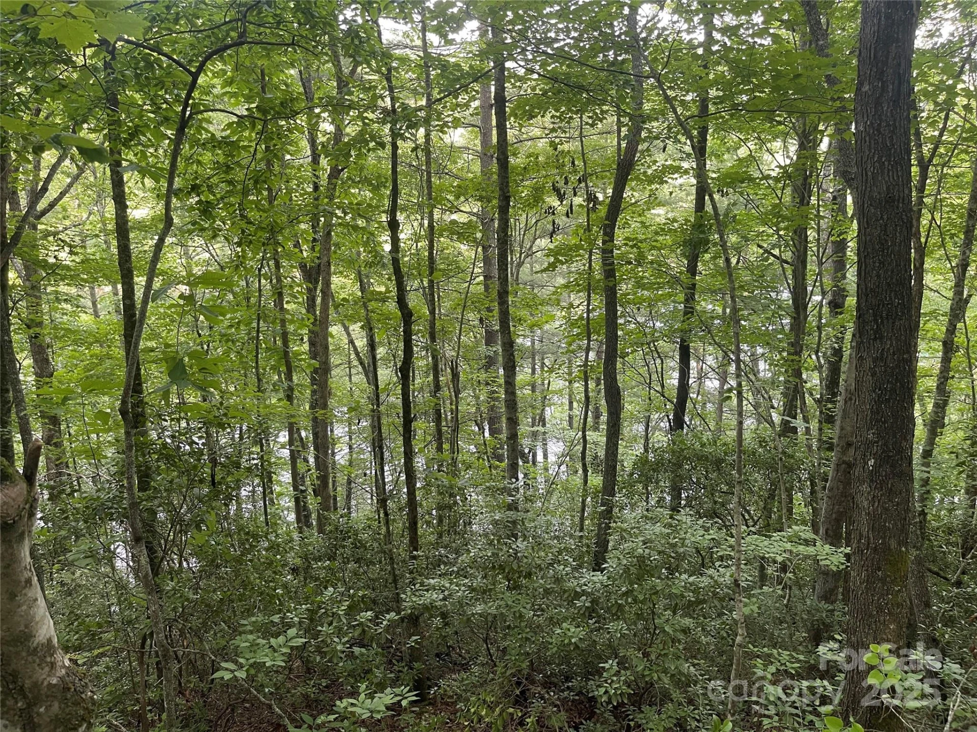 2642 Canada Road - Photo 6