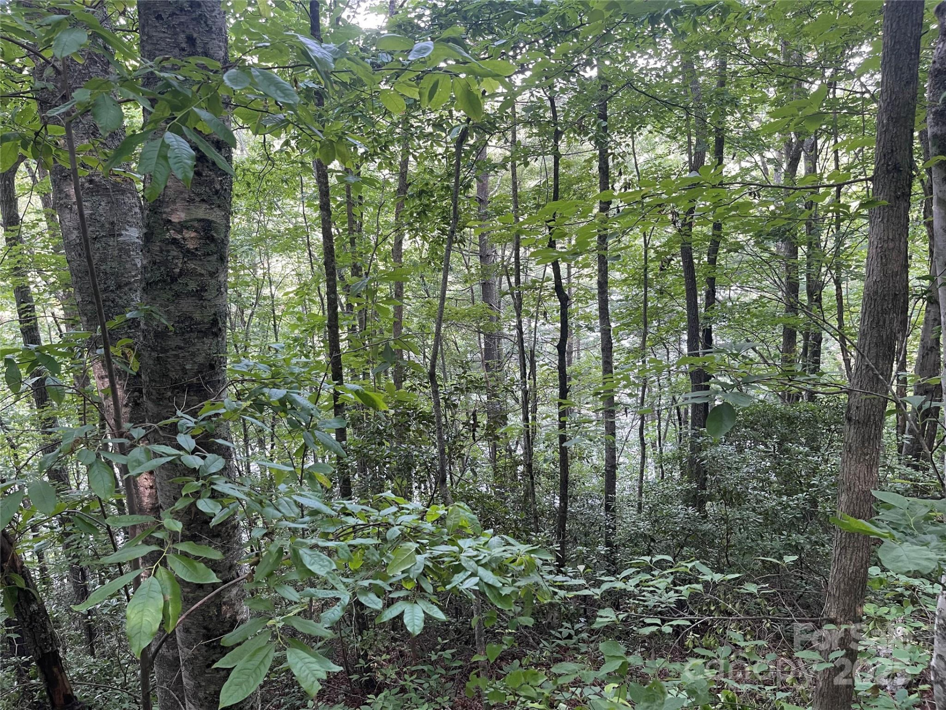 2642 Canada Road - Photo 9