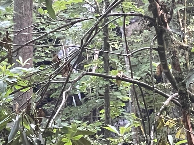 2600 Canada Road, Tuckasegee, NC, 28783