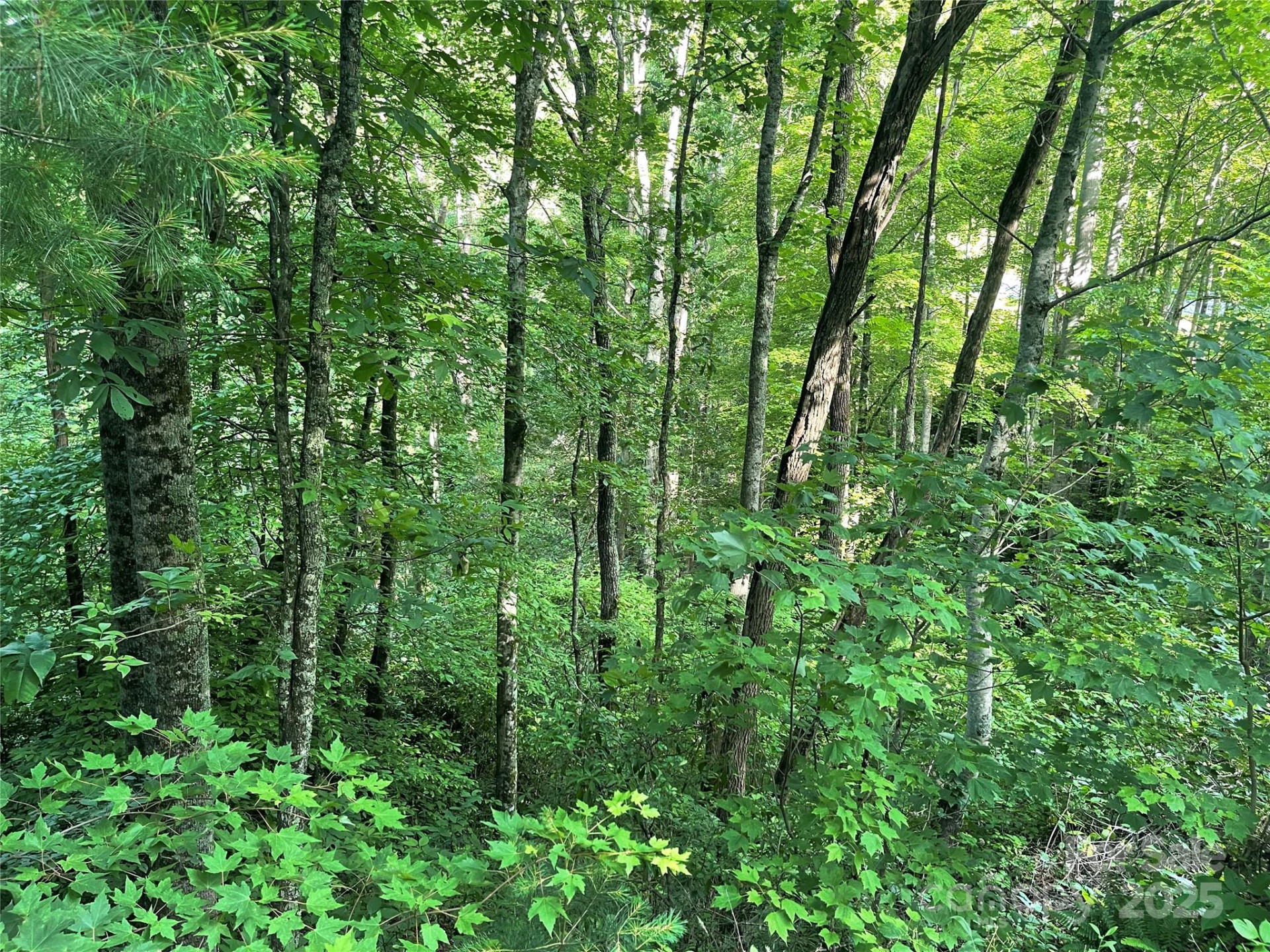 2600 Canada Road - Photo 6