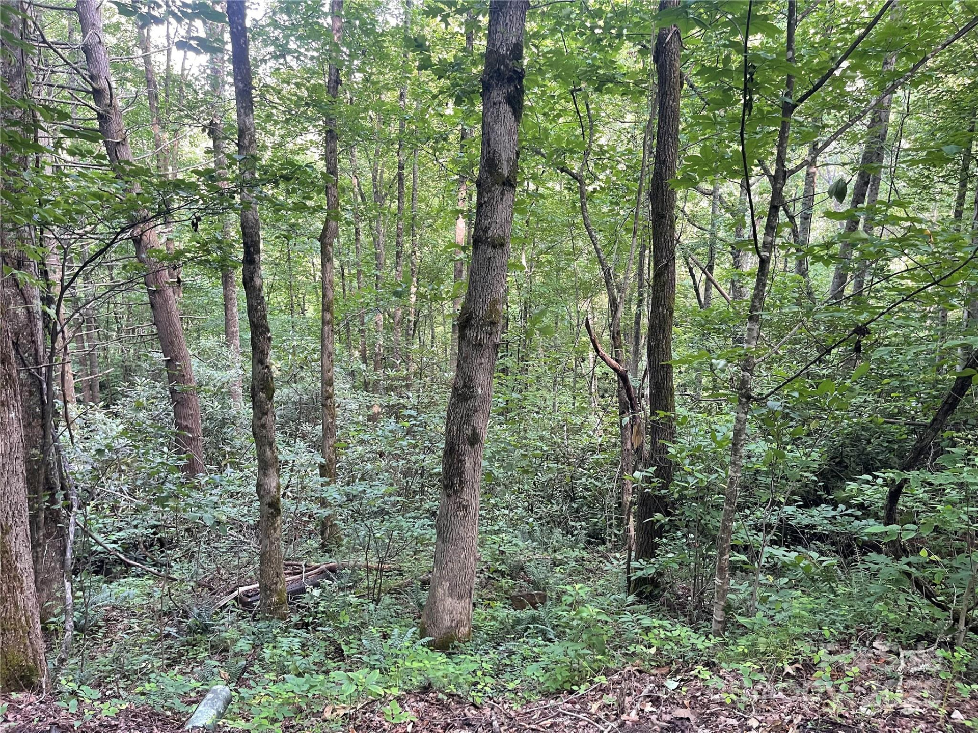 2600 Canada Road - Photo 9