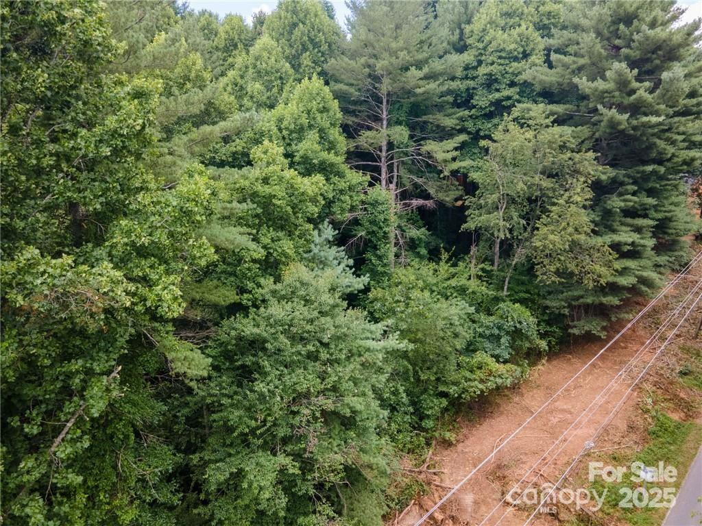 9999 Pisgah View Road - Photo 7