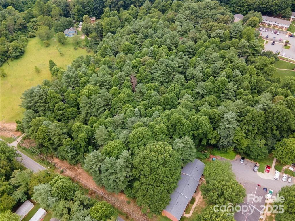 9999 Pisgah View Road - Photo 8