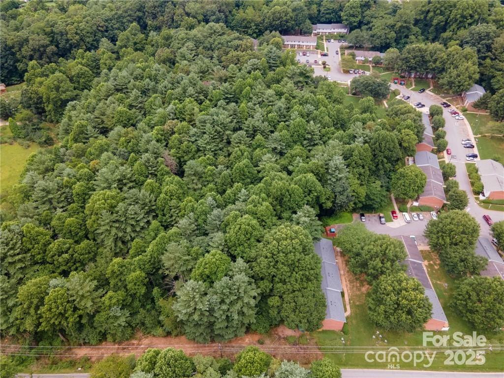 9999 Pisgah View Road - Photo 10