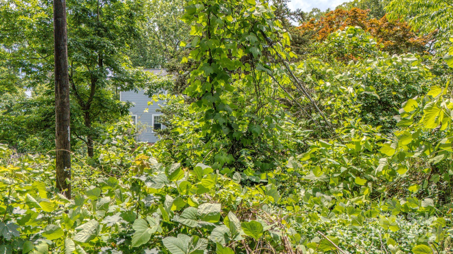 99999 Westchester Drive - Photo 12