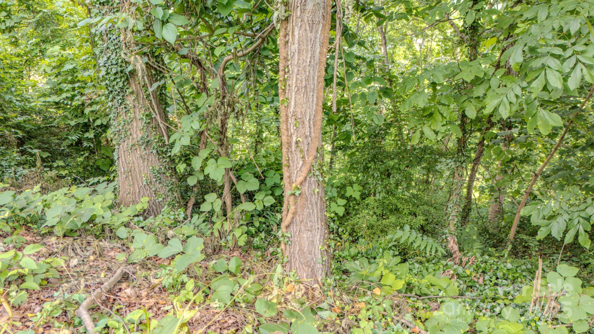 99999 Westchester Drive - Photo 4