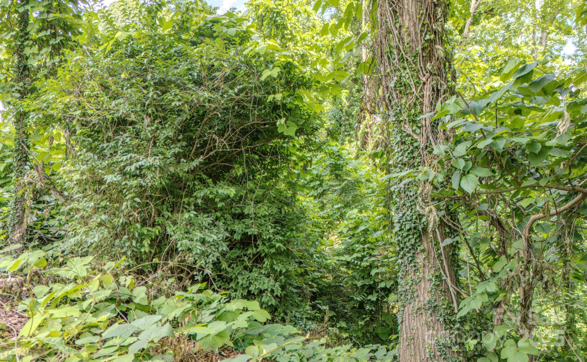 99999 Westchester Drive - Photo 5