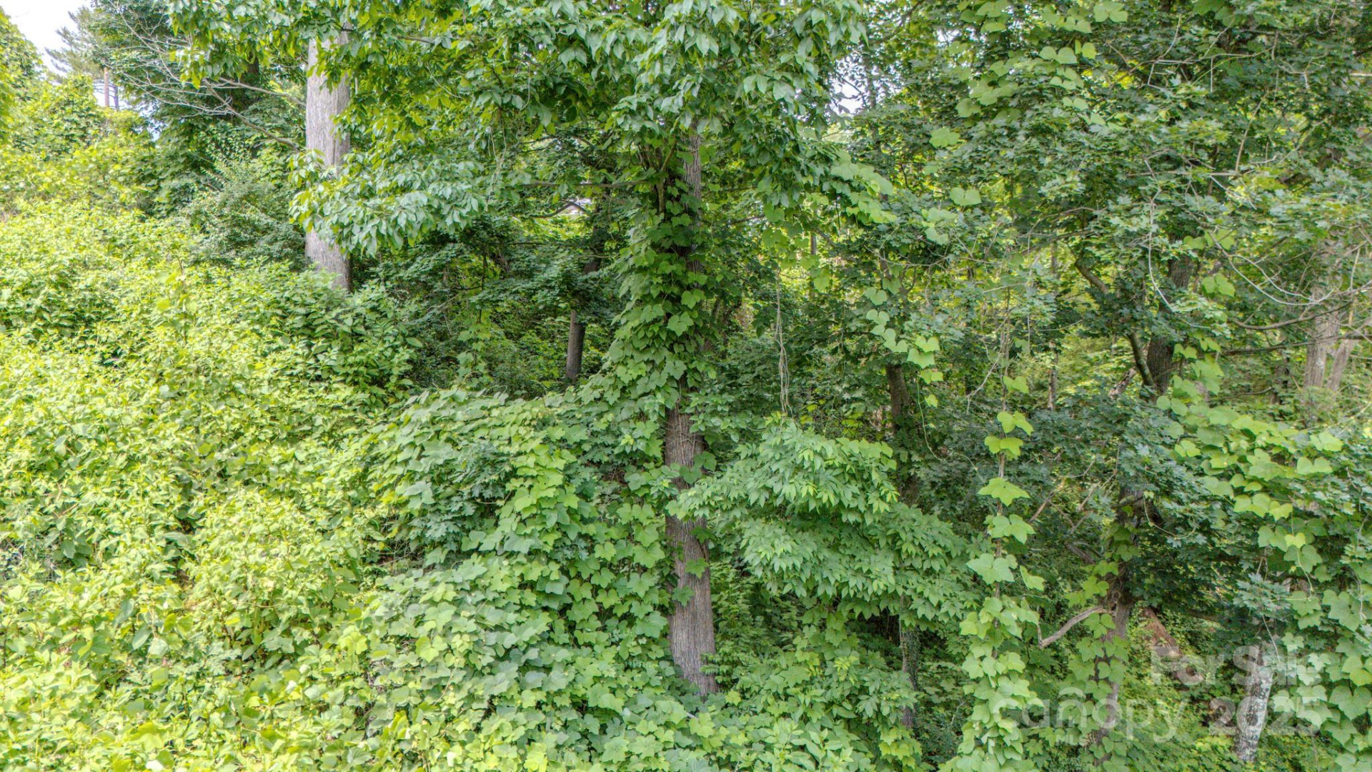 99999 Westchester Drive - Photo 6