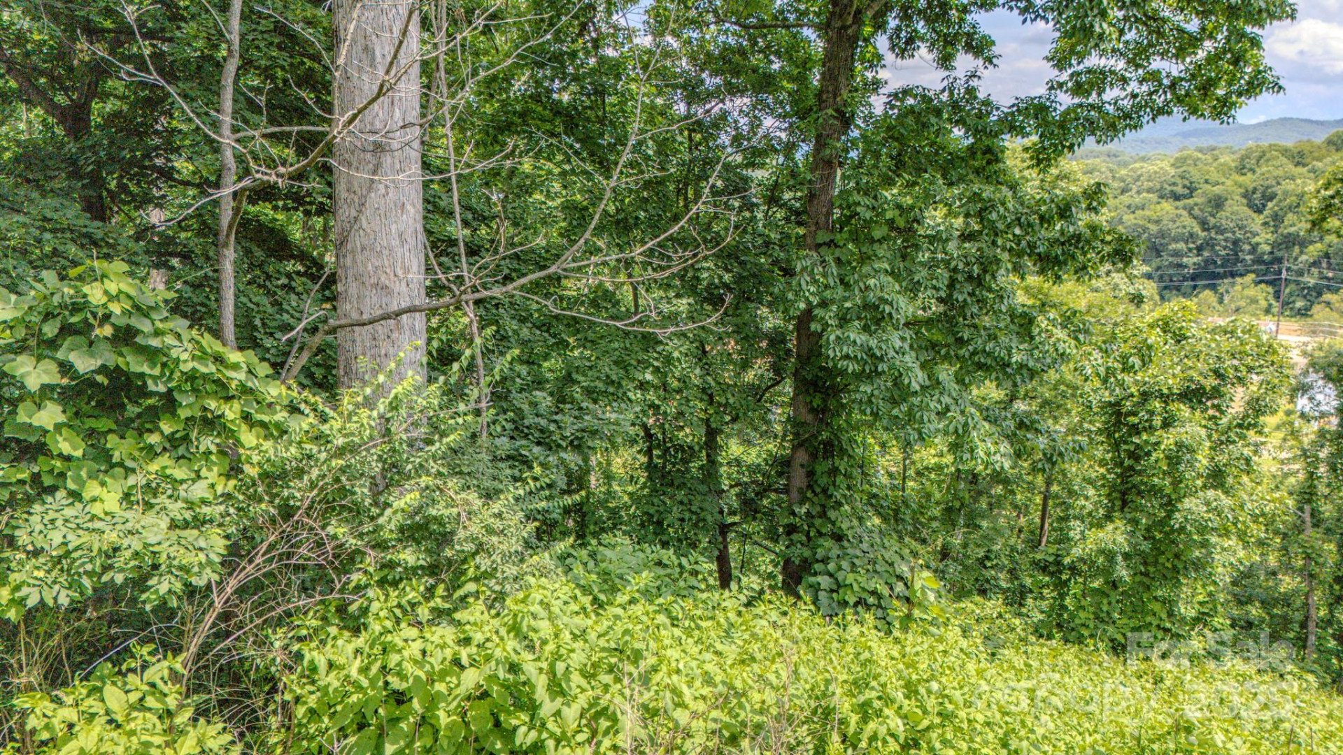 99999 Westchester Drive - Photo 8