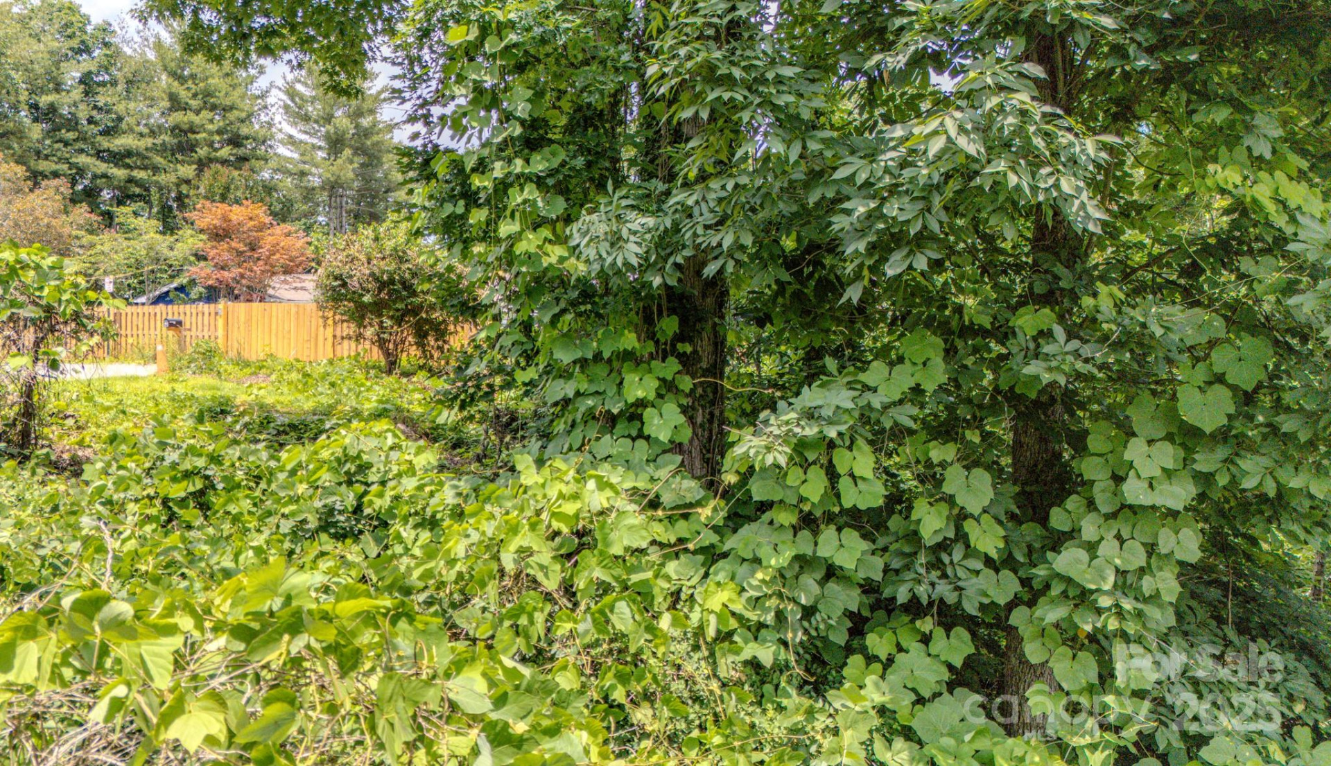 99999 Westchester Drive - Photo 9