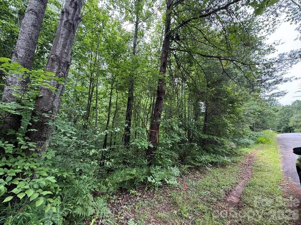 0 Woody Circle #11 - Photo 4