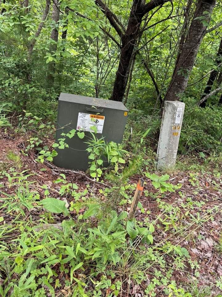 0 Woody Circle #11 - Photo 5