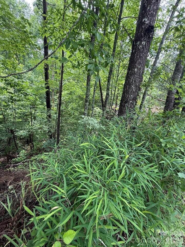 0 Woody Circle #11 - Photo 6