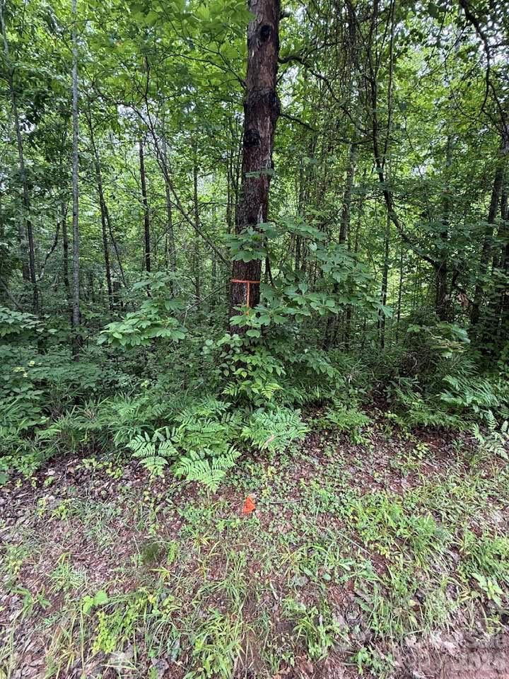 0 Woody Circle #11 - Photo 7