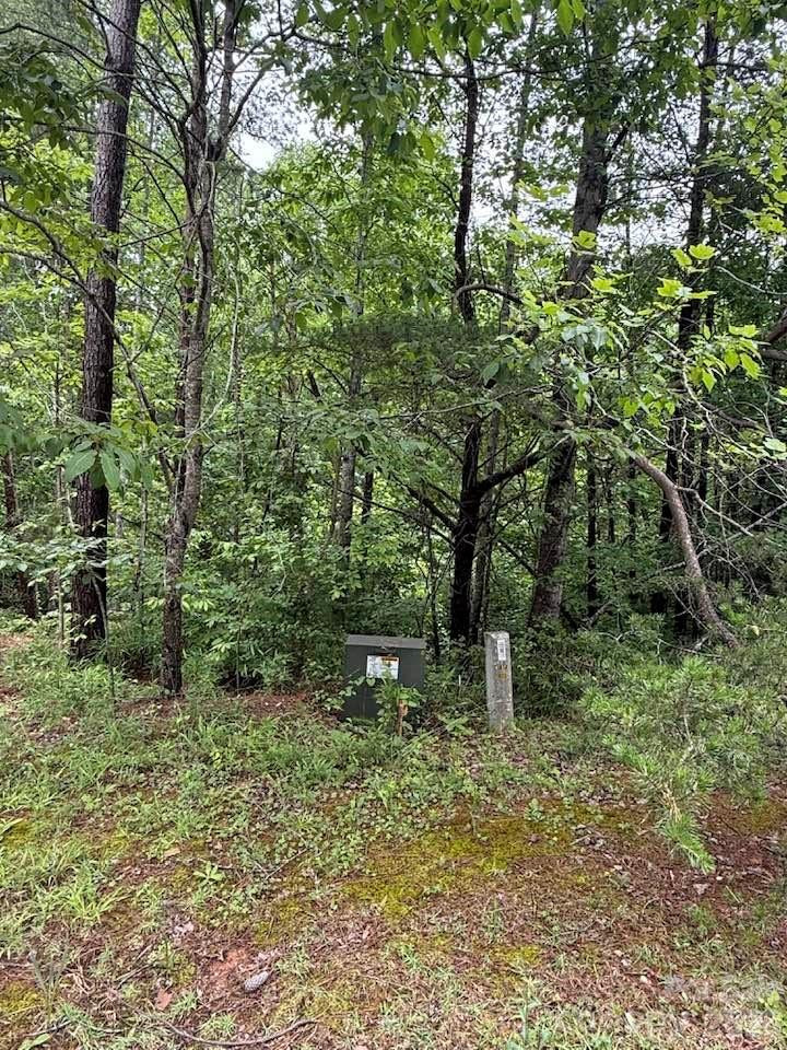 0 Woody Circle #11 - Photo 8