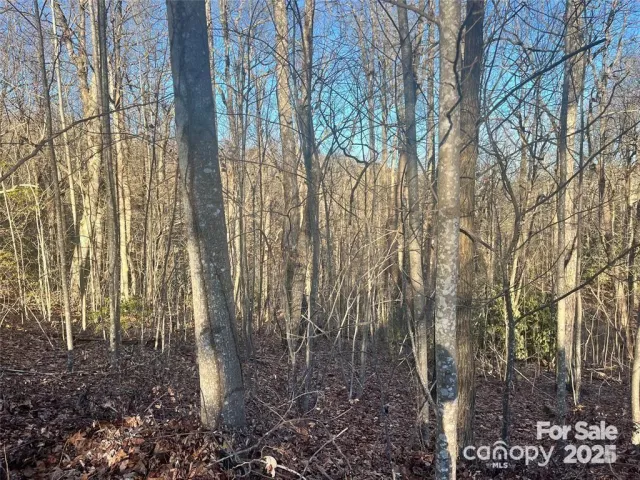 129 Pinnacle Peak Lane, Flat Rock, NC, 28731