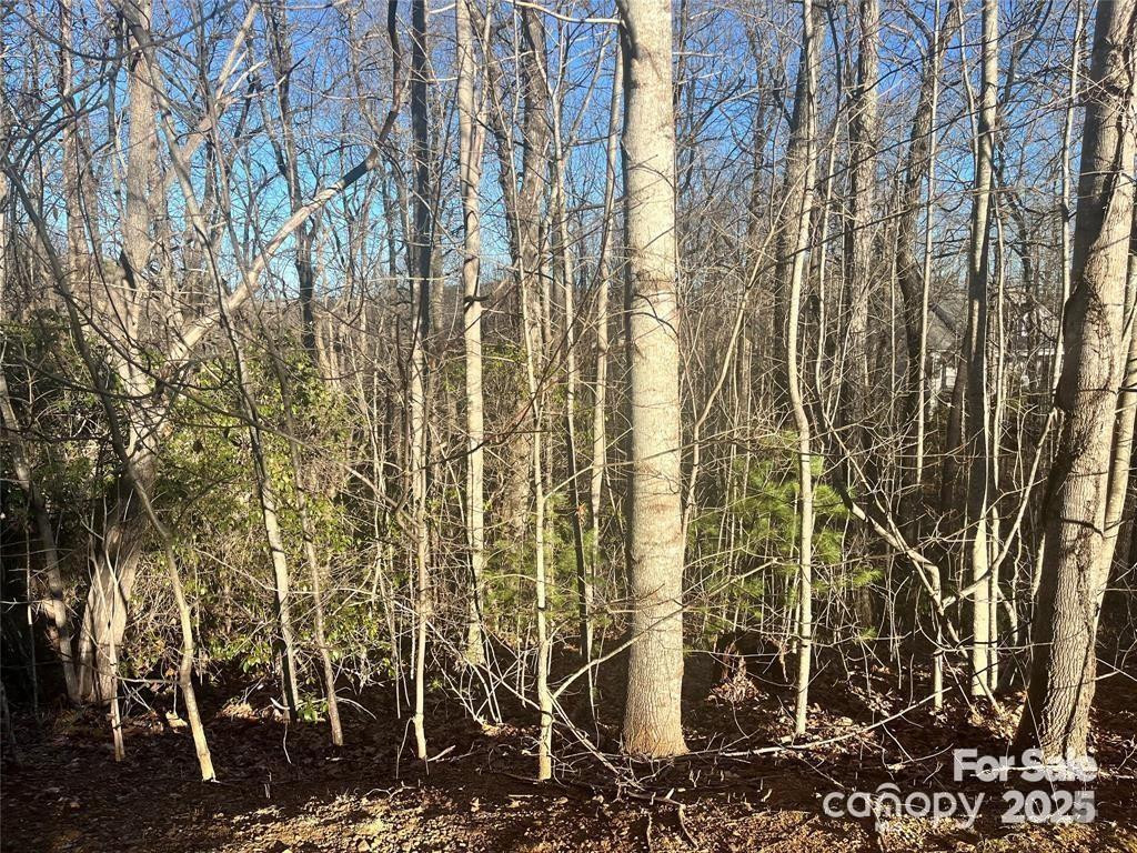 129 Pinnacle Peak Lane - Photo 3