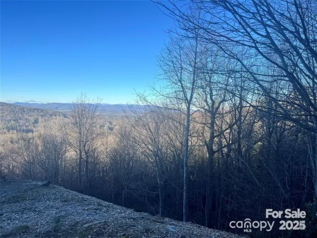 000 Roxworth Court, Flat Rock, NC, 28731
