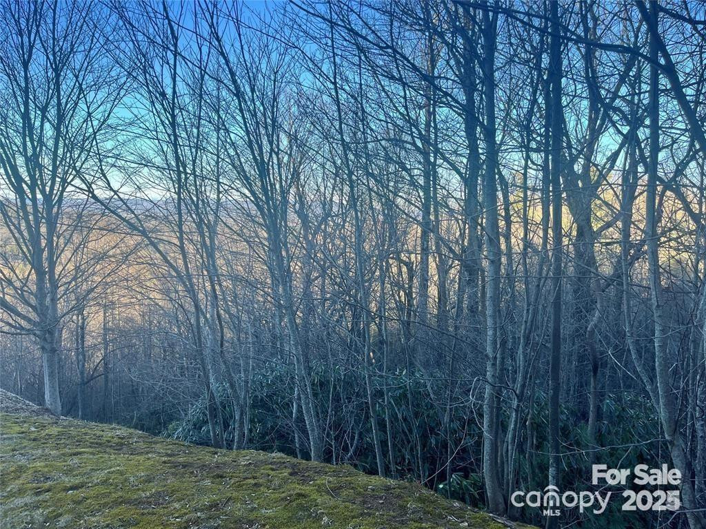 000 Roxworth Court - Photo 2